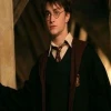 Harry Potter Gryffindor Robe Harry Potter Gryffindor Robe