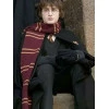 Harry Potter Gryffindor Robe