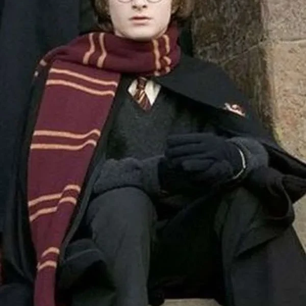 Harry Potter Gryffindor Robe Harry Potter Gryffindor Robe